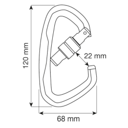 CAMP - Mousqueton - ATLAS LOCK 40 KN