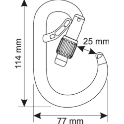 CAMP - Mousqueton - CORE BELAY LOCK